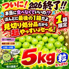 超訳あり見切り品処分セールもう本当にいいの？食べなくてセール！訳ありシャインマスカット粒 5kg
