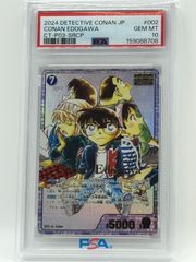 PSA10 ライコウV SAR S12a VSTARユニバース 218/172 - メルカリ