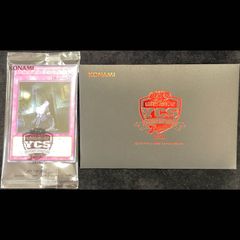 PSA10】ドン!!カード(ニコ・ロビン)(パラレル)(スーパーパラレル) 1枚