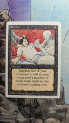 MTG 逸失への恐怖 通常2枚ショーケース2枚 計日本語4枚 まとめ売り