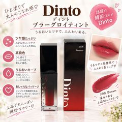◇990【新品/#208】Dinto ディーント ブラーグロイリップティント 208 ボヌム Bonum 韓国コスメ ツヤ感 透明感 軽いつけ心地 リップティント 3.5g