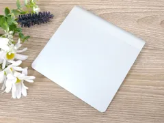 Apple Magic Trackpad A1339 マジック トラックパッド 動作品