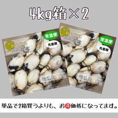れんこん 4kg×2 8kg ［規格外品］