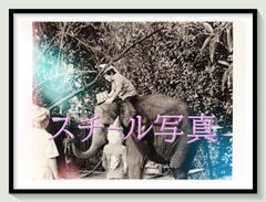 t『ボーイズ・ボーイズ／ケニーと仲間たち』1978年映画劇場宣伝用正規オリジナルスチール写真　pt011573　ドン・コスカレリ ダン・マッキャン マイケル・ボールドウィン ラルフ・リッチモンド レジー・バニスター