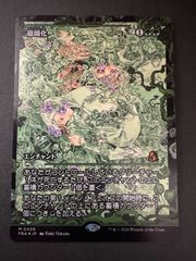 MTG ピーター・パーカー アメイジング・スパイダーマン 日本語 foil
