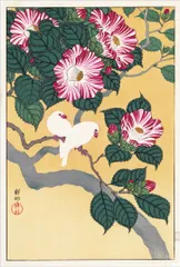 【期間限定】小原古邨　椿に白文鳥　約56×37.6cm 【追跡あり】大サイズ　複製ポスター　新版画　風景画　和モダン　インテリア　ア