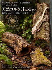 【激安】【L11209】【コルク樹皮】天然コルク3点セット｜ クレステッドゲッコー ・小型爬虫類 のケージレイアウト用