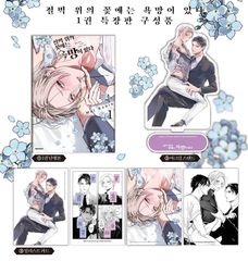 韓国語版 漫画 初版 特装版 コテリ Veil 7巻 限定版 単行本 特典