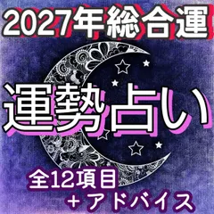 2027年の総合運☆タロット占い/ルノルマンカード/リーディング/鑑定 送料無料