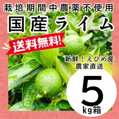 栽培期間中農薬不使用の国産ライム5kg箱【農薬不使用の特別栽培基準/愛媛の農家直送/全国追加送料なし】2026/10/2｜在庫あり