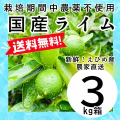 栽培期間中農薬不使用の国産ライム3kg箱【農薬不使用の特別栽培基準/愛媛の農家直送/全国追加送料なし】2026/10/2 新着