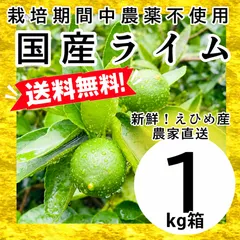 栽培期間中農薬不使用の国産ライム1kg箱【農薬不使用の特別栽培基準/愛媛の農家直送/全国追加送料なし】2026/10/2｜在庫あり