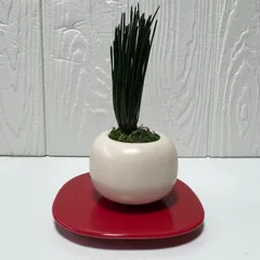 【期間限定】【美品】観葉植物風 インテリアグリーン 白い丸型鉢 赤い受け皿付き 和モダン 飾り