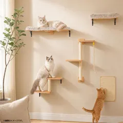 F2957◆未使用 PAWZ Road AM001-AMT0379BG 5-in-1 壁掛け式キャットウォーク 木製キャ 新着