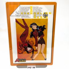 新世紀エヴァンゲリオン 葛城ミサト ＆ アスカ 下敷き
