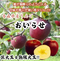 【期間限定】★期間限定★青森県産 おいらせ 激レア りんご 巨大玉＆無限大玉 贈答用（金特選） 6~8玉 ③