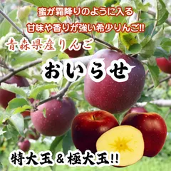 ★期間限定★青森県産 おいらせ 激レア りんご 特大玉＆極大玉 家庭用 6~8玉 ㉟ 送料無料