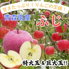 ★期間限定★青森県産 ふじ りんご 特大玉＆巨大玉 贈答用（金特選） 6~8玉 ㊾｜在庫あり