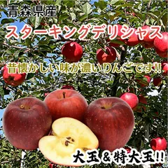 【期間限定】★期間限定★青森県産 スターキングデリシャス 激レア りんご 大玉＆特大玉 贈答用（金特選） 6~8玉 ㊿