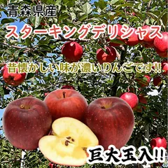 【激安】★期間限定★青森県産 スターキングデリシャス 激レア りんご 巨大玉入 贈答用（金特選） 6~8玉 ㊿