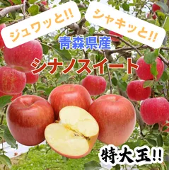 ★期間限定★青森県産 シナノスイート りんご 特大玉 贈答用（金特選） 6~8玉 ㉚ 送料無料