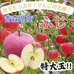 【期間限定】★期間限定★青森県産 ふじ りんご 特大玉 贈答用（金特選） 6~8玉 ㊵