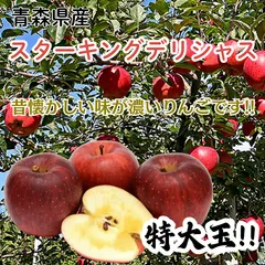 【即納】★期間限定★青森県産 スターキングデリシャス 激レア りんご 特大玉 贈答用（金特選） 6~8玉 ㊽