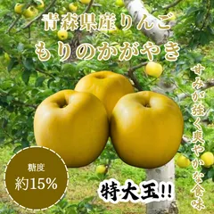 【激安】★期間限定★青森県産 もりのかがやき 激レア りんご 特大玉 贈答用（金特選）6~8玉 ⑨