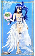 중고 ポスター 特大布ポスター 風鳴翼 「戦姫絶唱シンフォギアXV フェア Chugaionline出張所 in AKIHABARAゲーマーズ本店」