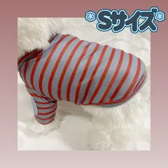 犬服猫服　ペット服　ペットウェア　ドッグウェア　ボーダー①/Sサイズ 新着