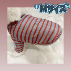 【期間限定】犬服猫服　ペット服　ペットウェア　ドッグウェア　ボーダー①/Mサイズ