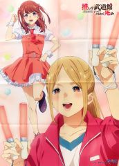 중고 ポスター 描き下ろしB2サイズ布ポスター 舞菜＆えりぴよ 「Blu-ray 推しが武道館いってくれたら死ぬ Vol.1～Vol.2」 アニメイト連動購入特典