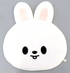 중고 雑貨 リノ SKZOO IMAGE PICKET COVER うちわカバー BABY Ver. Leebit 「Stray Kids World Tour ＜dominATE SEOUL＞」