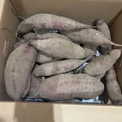 家庭菜園　野菜　訳あり 新さつまいも 茨城県産紅はるか箱込み約4.5以上5k g未満 送料無料