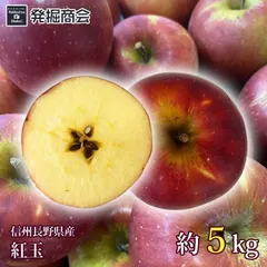 りんご 紅玉 約3kg 2026年収穫 信州 長野県産 期間限定 送料無料