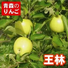 【送料無料】一華ベジフル 青森 りんご 王林 (おうりん) 家庭用 5C箱(16～20個入)