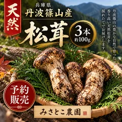 【期間限定】【予約販売】丹波篠山産 天然松茸 3本セット 約100g みさとこ農園