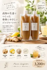 【送料無料】ジンジャーシロップ2本セット