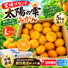 【激安】宮崎ブランド 太陽の雫みかん 5kg箱 L 市場直送 送料無料
