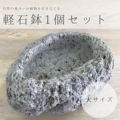 大サイズ｜アイテラスの軽石鉢 1個セット｜観葉植物や多肉植物に最適【s091402】｜在庫あり