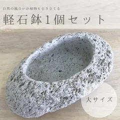 【期間限定】大サイズ｜アイテラスの軽石鉢 1個セット｜観葉植物や多肉植物に最適【s091601】
