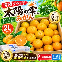 中古 宮崎ブランド 太陽の雫みかん 5kg箱 2L 市場直送 送料無料 即納