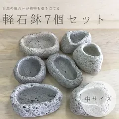 中サイズ｜アイテラスの軽石鉢 7個セット｜観葉植物や多肉植物に最適【s091801】｜在庫あり
