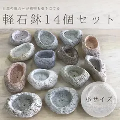 【激安】小サイズ｜アイテラスの軽石鉢 14個セット｜観葉植物や多肉植物に最適【s091802】