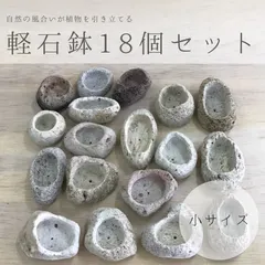 小サイズ｜アイテラスの軽石鉢 18個セット｜観葉植物や多肉植物に最適【s091803】 送料無料