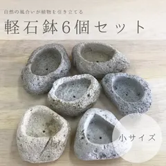 小サイズ｜アイテラスの軽石鉢 6個セット｜観葉植物や多肉植物に最適【s091804】 アウトレット