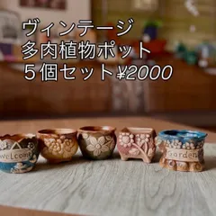 中古 多肉植物ポット５個セット（A）＊輸入雑貨＊セラミック*・＊ 即納