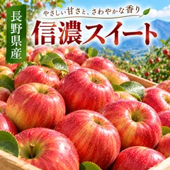 【激安】長野県産 信濃スイート りんご 約10kg