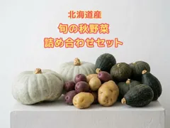 【北海道産】オホーツク直送！かぼちゃ3種＆じゃがいも2種！旬の秋野菜詰め合わせ 10kg 送料無料