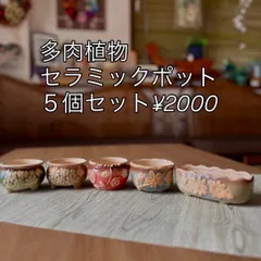 多肉植物ポット５個セット（B）＊輸入雑貨＊セラミック*・＊ 送料無料